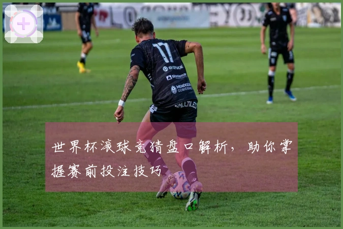 世界杯滚球竞猜盘口解析，助你掌握赛前投注技巧