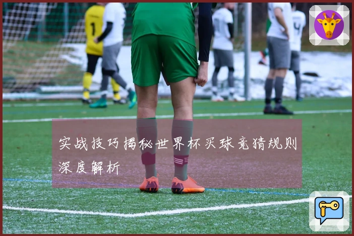 实战技巧揭秘世界杯买球竞猜规则深度解析