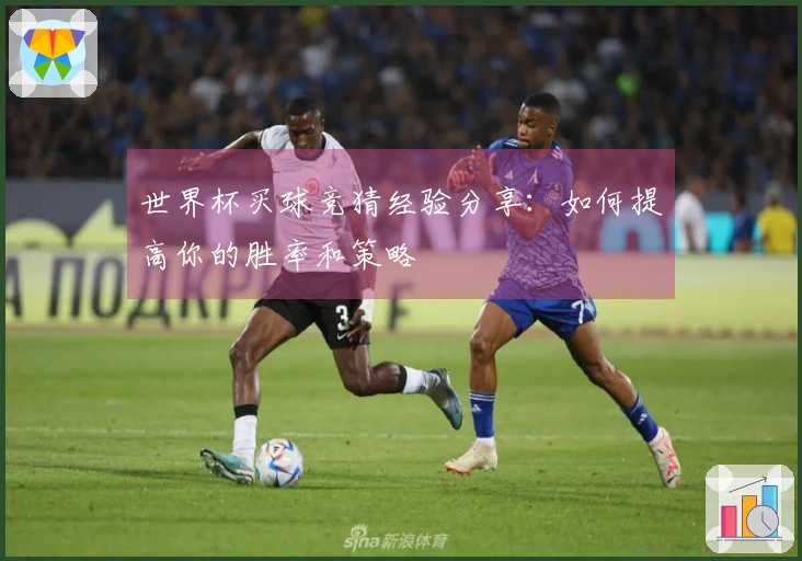 世界杯买球竞猜经验分享：如何提高你的胜率和策略