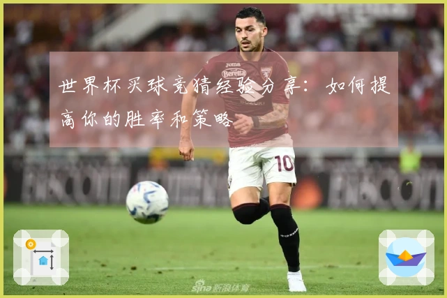 世界杯买球竞猜经验分享：如何提高你的胜率和策略