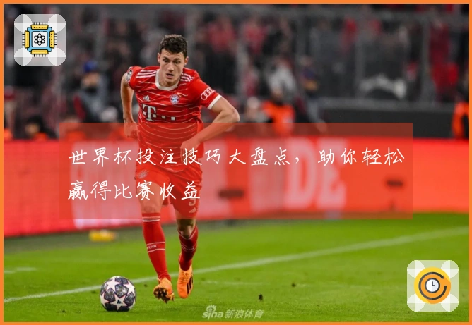 世界杯投注技巧大盘点，助你轻松赢得比赛收益