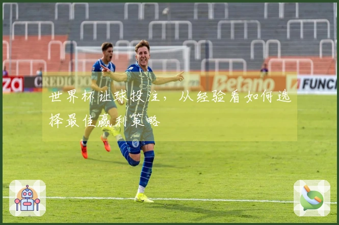 世界杯让球投注，从经验看如何选择最佳赢利策略