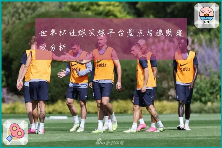 世界杯让球买球平台盘点与选购建议分析