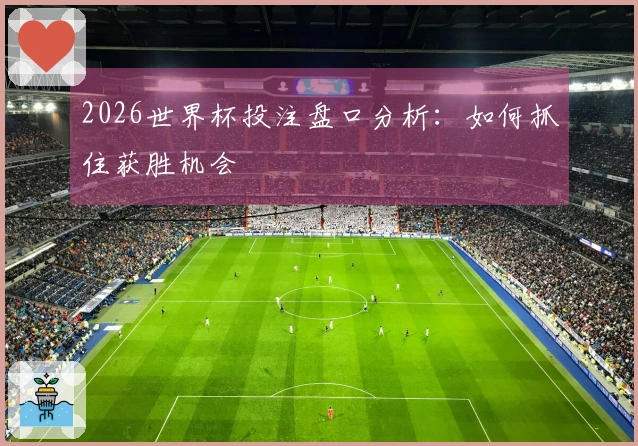 2026世界杯投注盘口分析：如何抓住获胜机会