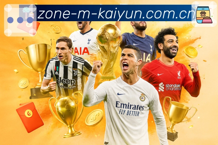 全球热力地图（访问密度）